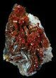 Huge Deep Red Vanadinite Crystal Cluster - Morocco #32361-4